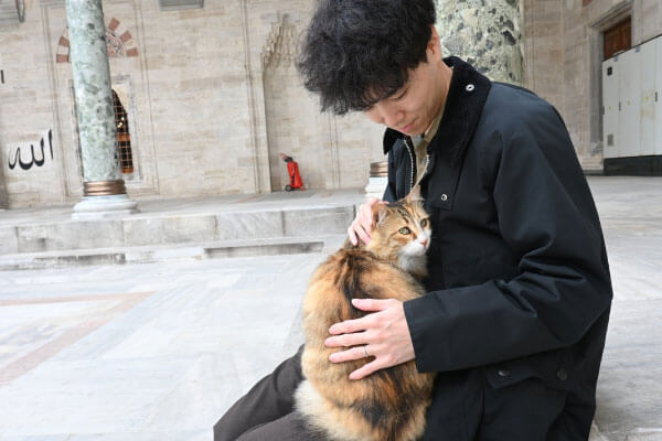 イスタンブールにて人懐っこい猫に癒される夫